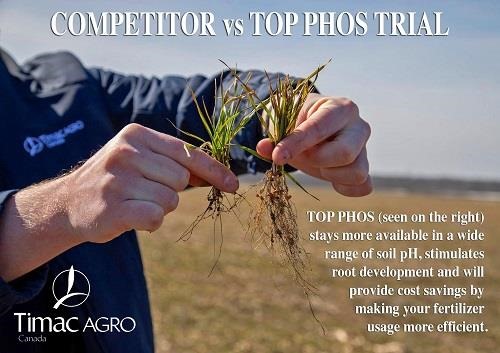 Competitor vs Top Phos Trial